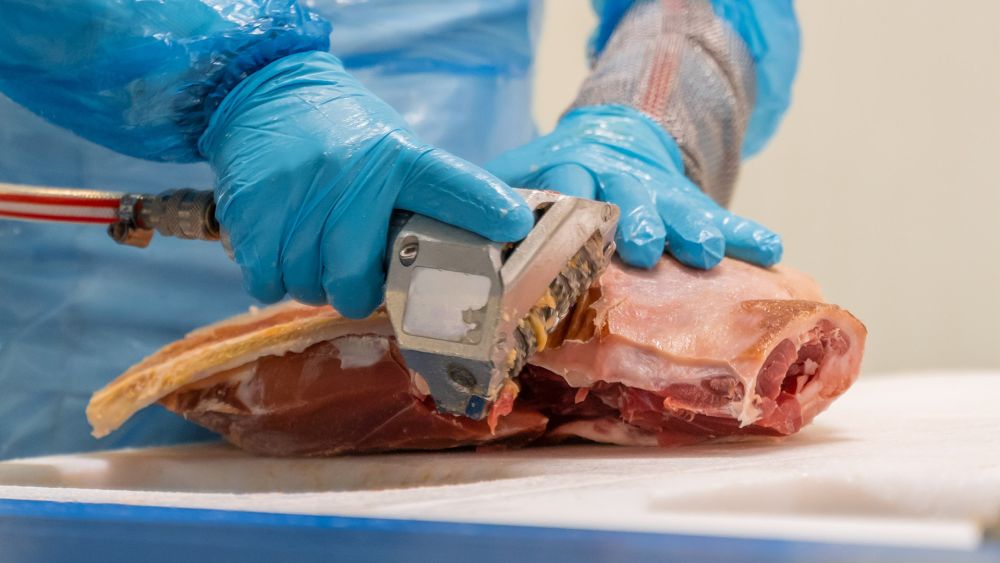Trabajos de pulido del jamón