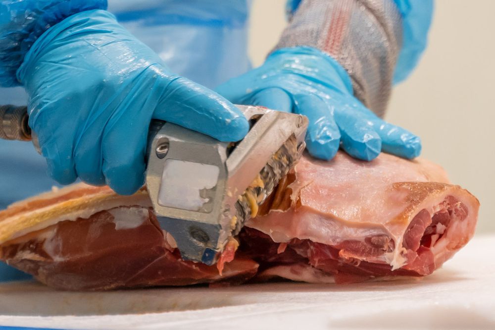 Trabajos de pulido del jamón