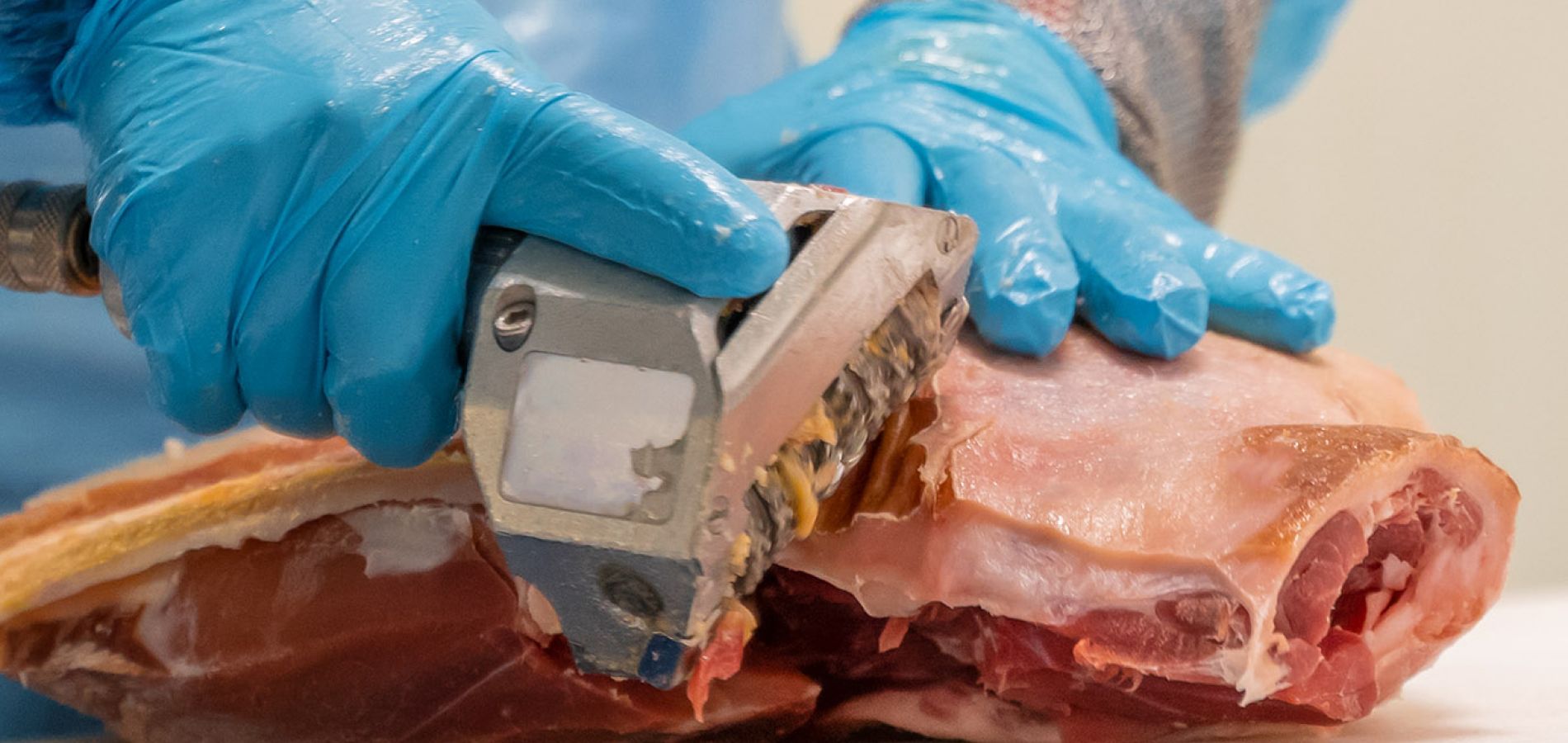 Deshuesado jamones - trabajo de planta